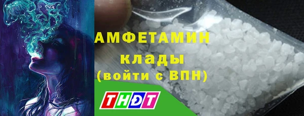 ПСИЛОЦИБИНОВЫЕ ГРИБЫ Алексин