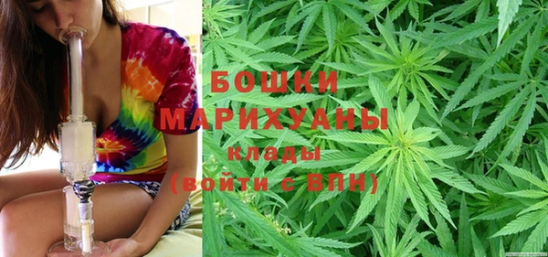 хмурый Алзамай