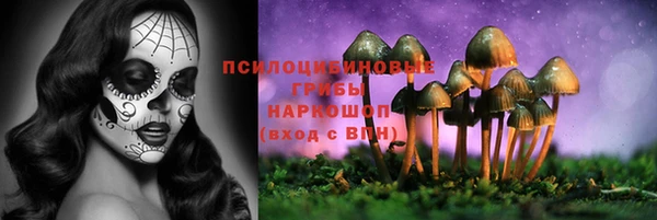 ПСИЛОЦИБИНОВЫЕ ГРИБЫ Алексин