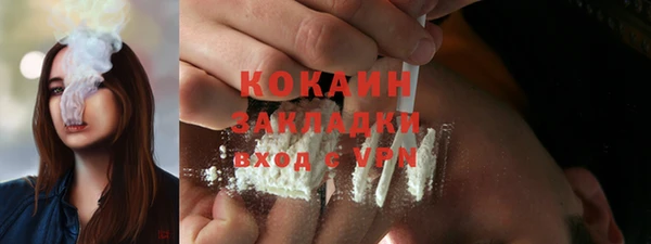 хмурый Алзамай