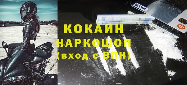 хмурый Алзамай