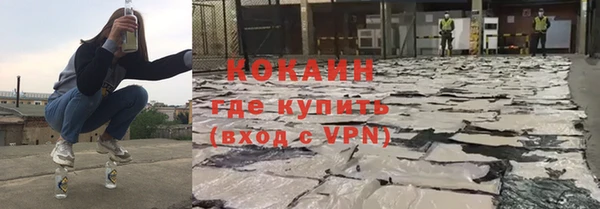 хмурый Алзамай