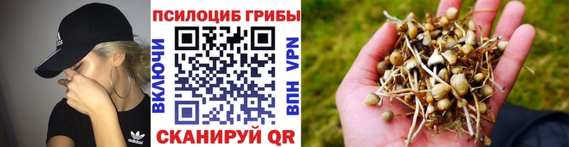 omg сайт  Сим  darknet формула  Галлюциногенные грибы Magic Shrooms 